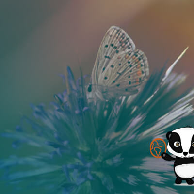 Atelier biodiversité pour les enfants